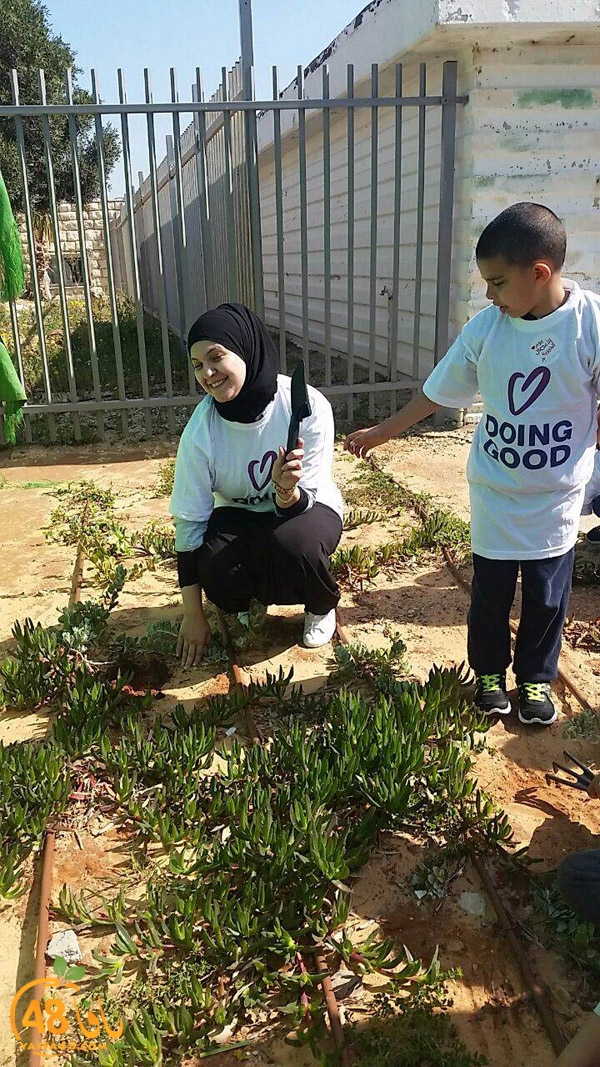 a3mal tayeba 7san3arafa (22).JPG